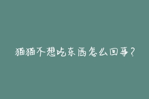 猫猫不想吃东西怎么回事?