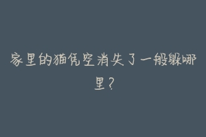 家里的猫凭空消失了一般躲哪里?