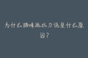 为什么猫咪抵抗力低是什么原因?