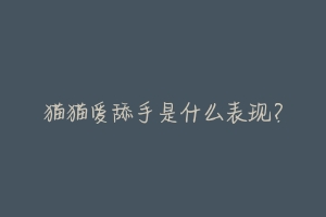 猫猫爱舔手是什么表现?