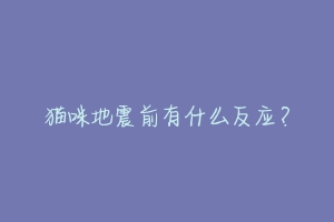 猫咪地震前有什么反应?