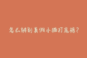 怎么辨别真假小猫打底裤?