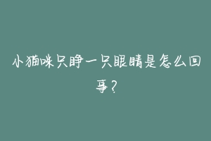 小猫咪只睁一只眼睛是怎么回事?