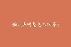 猫大声叫是怎么回事?