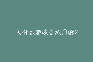 为什么猫咪会扒门缝?