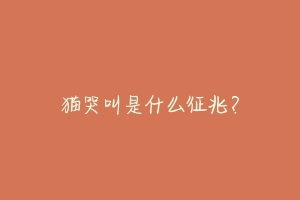 猫哭叫是什么征兆？