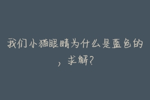 我们小猫眼睛为什么是蓝色的，求解？