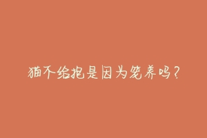 猫不给抱是因为笼养吗?