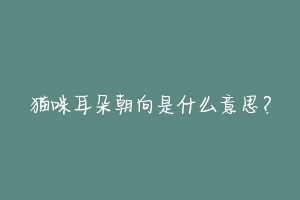 猫咪耳朵朝向是什么意思?