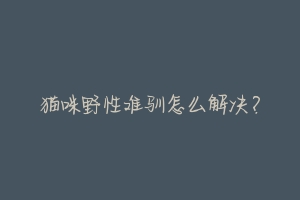 猫咪野性难驯怎么解决?