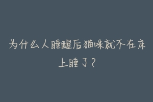 为什么人睡醒后猫咪就不在床上睡了?