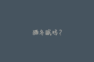 猫冬眠吗?