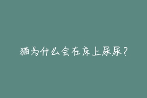 猫为什么会在床上尿尿?