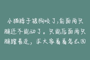 小猫脖子被狗咬了,前面两只腿还不能动了。只能后面两只腿蹬着走,求大家看看怎么回事?