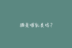 猫是哺乳类吗?