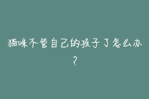 猫咪不管自己的孩子了怎么办?