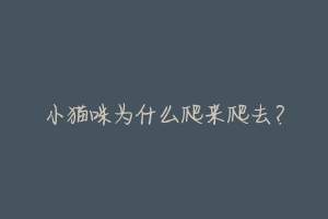 小猫咪为什么爬来爬去？