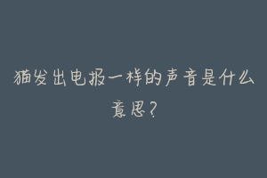 猫发出电报一样的声音是什么意思?