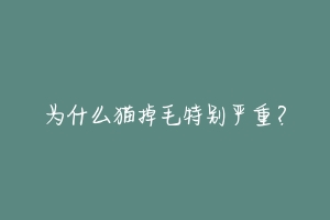 为什么猫掉毛特别严重?