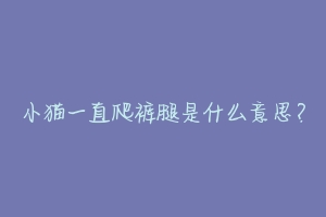 小猫一直爬裤腿是什么意思？