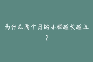 为什么两个月的小猫越长越丑？