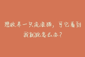 想收养一只流浪猫,可它看到我就跑怎么办?