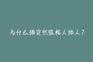 为什么猫突然很粘人舔人?