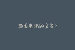 猫看电视的文案?