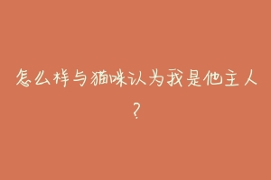 怎么样与猫咪认为我是他主人?