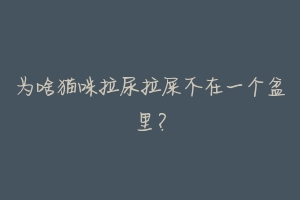 为啥猫咪拉尿拉屎不在一个盆里?