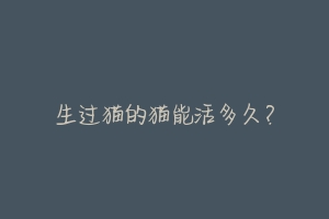生过猫的猫能活多久?
