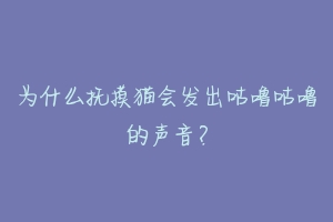 为什么抚摸猫会发出咕噜咕噜的声音?
