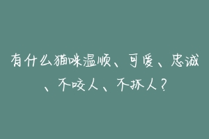 有什么猫咪温顺、可爱、忠诚、不咬人、不抓人?