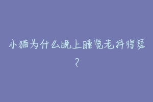 小猫为什么晚上睡觉老抖得瑟?