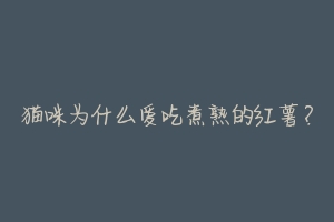 猫咪为什么爱吃煮熟的红薯?