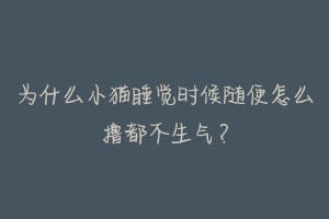 为什么小猫睡觉时候随便怎么撸都不生气?