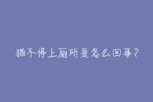 猫不停上厕所是怎么回事?