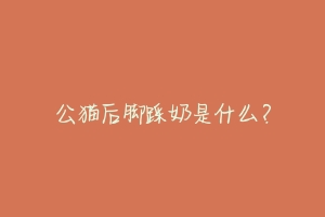 公猫后脚踩奶是什么?