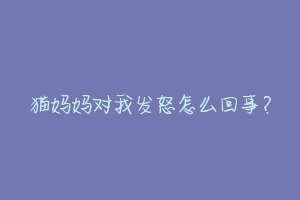 猫妈妈对我发怒怎么回事?