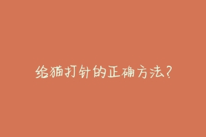 给猫打针的正确方法?