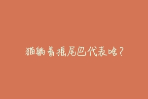 猫躺着摇尾巴代表啥?