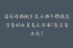 请问母猫刚产完小猫不照顾且没有奶水是怎么回事?有没有办法?