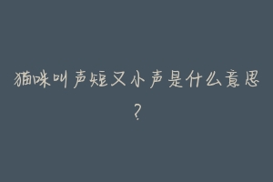 猫咪叫声短又小声是什么意思?