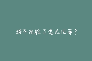猫不洗脸了怎么回事？