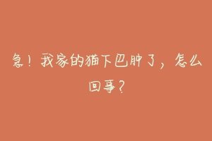 急!我家的猫下巴肿了,怎么回事?