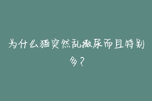 为什么猫突然乱撒尿而且特别多?