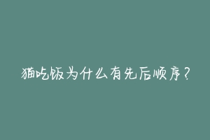 猫吃饭为什么有先后顺序?