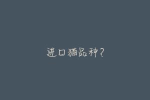 进口猫品种?
