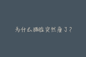 为什么猫脸突然瘦了?