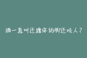 猫一直叫还蹭你的脚还咬人?